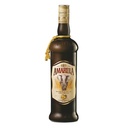 AMARULA FRUIT CREAM 750 ML
