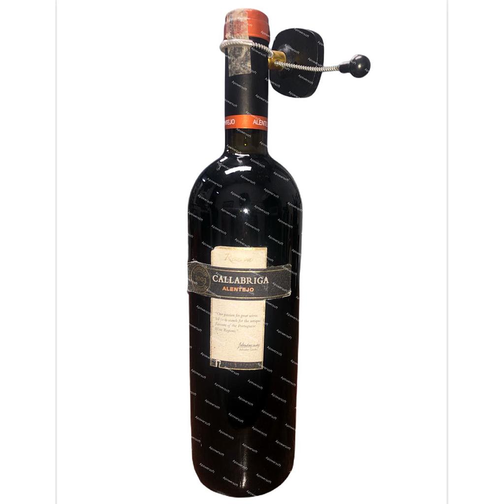 CALLABRIGA RVA ALENTEJO 75