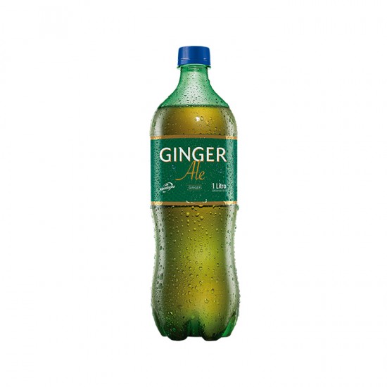 [040030049] MENDOCINA GINGER ALE 2 LT.